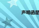 声明函是什么（声明函）