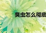 臭虫怎么彻底消灭（臭虫怕什么）