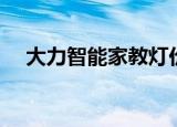 大力智能家教灯价格（大力智能家教灯）