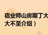 宿业师山房期丁大不至（关于宿业师山房期丁大不至介绍）