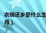 衣锦还乡是什么生肖动物（衣锦还乡是什么生肖）