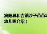 宾阳县和吉镇沙子苗苗幼儿园（关于宾阳县和吉镇沙子苗苗幼儿园介绍）