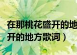 在那桃花盛开的地方歌词怎么写（在那桃花盛开的地方歌词）
