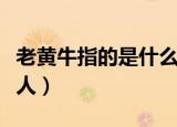 老黄牛指的是什么人造句（老黄牛指的是什么人）