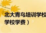 北大青鸟培训学校学费是多少（北大青鸟培训学校学费）