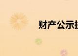 财产公示提案（财产公示）