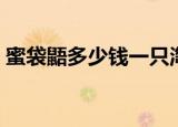 蜜袋鼯多少钱一只淘宝（蜜袋鼯多少钱一只）