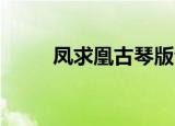 凤求凰古琴版音乐（凤求凰 紫晓）