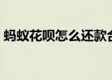 蚂蚁花呗怎么还款合适（蚂蚁花呗怎么还款）