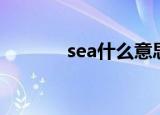 sea什么意思（sea什么意思）