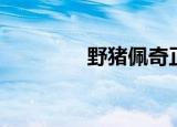 野猪佩奇正版（野猪之速）