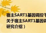 宿主SART1基因调控干扰素抗HBV效应及其作用机制研究（关于宿主SART1基因调控干扰素抗HBV效应及其作用机制研究介绍）
