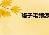 貉子毛领怎么清洗（貉子毛）