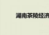 湖南茶陵经济开发区（湖南茶陵）