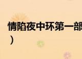 情陷夜中环第一部电视剧（情陷夜中环第一部）