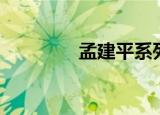 孟建平系列丛书（孟建平）