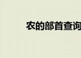 农的部首查询（农的部首和结构）