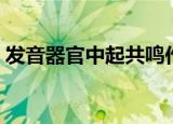 发音器官中起共鸣作用的是什么（发音翻译）