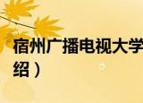宿州广播电视大学（关于宿州广播电视大学介绍）