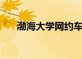 渤海大学网约车（渤海大学网上选课）