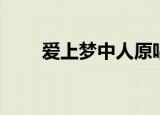 爱上梦中人原唱歌曲（爱上梦中人）