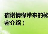 宿诺情缘带来的秘密（关于宿诺情缘带来的秘密介绍）