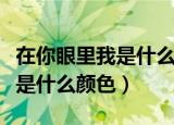 在你眼里我是什么味道怎么回答（在你眼里我是什么颜色）
