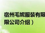 宿州毛妮服装有限公司（关于宿州毛妮服装有限公司介绍）