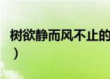 树欲静而风不止的全诗（树欲静而风不止意思）