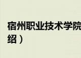 宿州职业技术学院（关于宿州职业技术学院介绍）