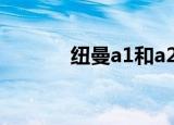 纽曼a1和a2哪个好（纽曼a1）