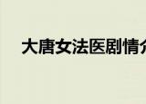 大唐女法医剧情介绍（大唐女法医评价）
