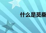 什么是莫桑钻（什么是躺平）