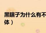 黑瞎子为什么有不老体（黑瞎子为什么有不老体）