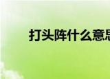 打头阵什么意思（打头阵什么意思）