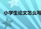 小学生论文怎么写新手入门（小学生论文）