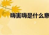 嗨害嗨是什么意思（嗨害嗨是什么梗）