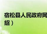 宿松县人民政府网（关于宿松县人民政府网介绍）
