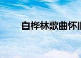 白桦林歌曲怀旧优美（白桦林歌词）