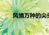 风情万种的尖头细跟高跟鞋（风情）