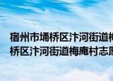 宿州市埇桥区汴河街道梅庵村志愿者服务队（关于宿州市埇桥区汴河街道梅庵村志愿者服务队介绍）