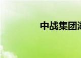 中战集团湖南（中战集团）