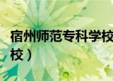 宿州师范专科学校录取分数（宿州师范专科学校）