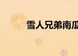 雪人兄弟南瓜头（雪人兄弟nes）