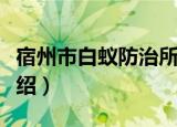 宿州市白蚁防治所（关于宿州市白蚁防治所介绍）