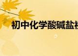 初中化学酸碱盐视频（初中化学酸碱盐）