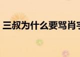 三叔为什么要骂肖宇梁（三叔为什么要入狱）