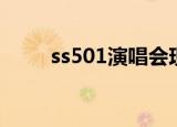 ss501演唱会现场版（ss501的歌）