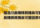 宿洛川嘉槐驿其槐真可爱因思李承之待制尝为（关于宿洛川嘉槐驿其槐真可爱因思李承之待制尝为介绍）