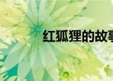 红狐狸的故事（红狐狸白狐狸）